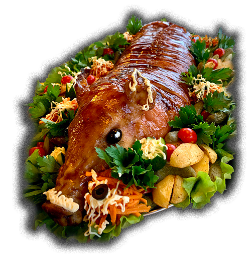 pig